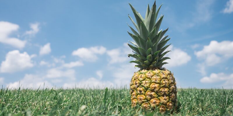 Nanasi pineapple, grass, field linaweza kuwa moja ya matunda hatari kwa mgonjwa wa kisukari