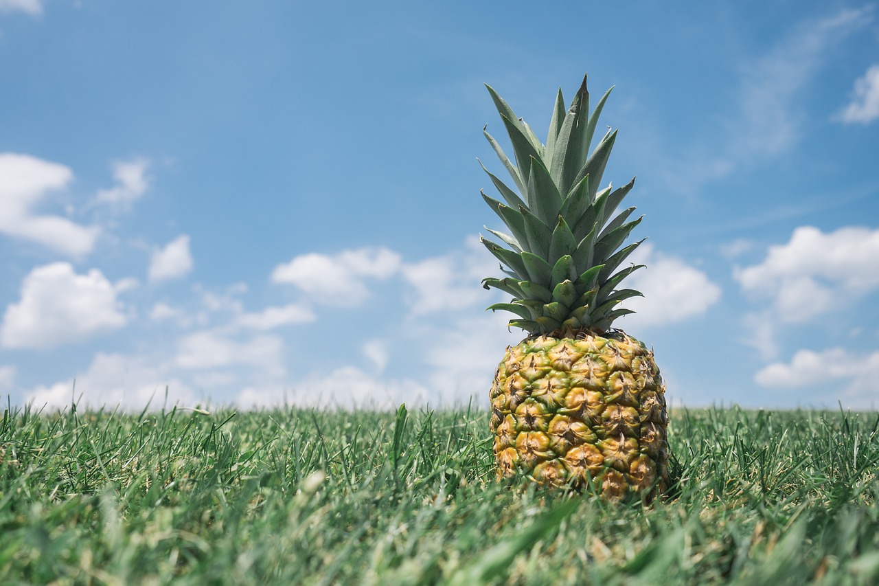 Nanasi pineapple, grass, field linaweza kuwa moja ya matunda hatari kwa mgonjwa wa kisukari